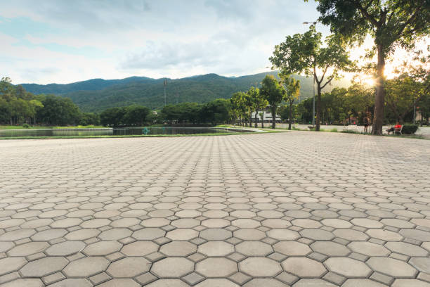 Best Concrete Paver Driveway  in Clifton Springs, NY
